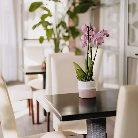 Lalla Beauty & Relax